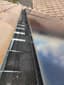 clean solar panels with bird proofing mesh installed