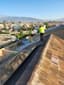 clean solar panels with bird proofing mesh installed